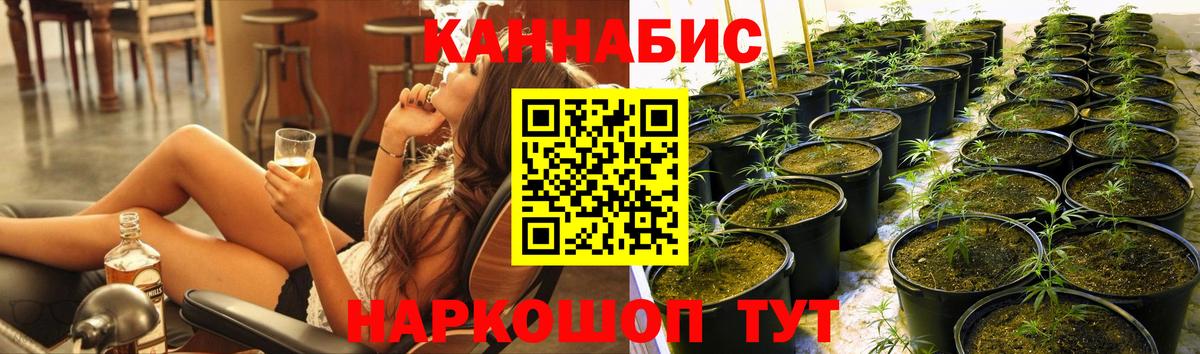 Бошки марихуана план Семёнов